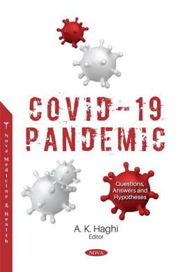 COVID-19 Pandemic: Questions, Answers and Hypotheses