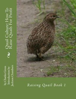 Quail Culture: How to Raise Quails for Profit