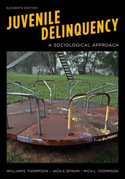Juvenile Delinquency A Sociological Approach 11th 9781538130292 Front Cover