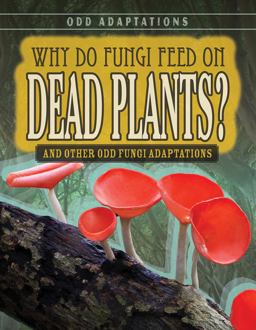 Why Do Fungi Feed on Dead Plants? Why Do Fungi Feed on Dead Plants?