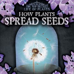 How Plants Spread Seeds How Plants Spread Seeds