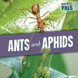 Ants and Aphids Ants and Aphids