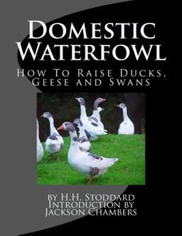 Domestic Waterfowl