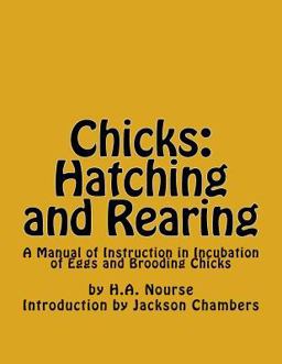 Chicks: Hatching and Rearing