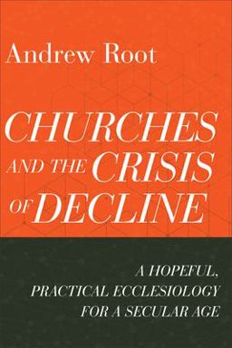 Churches and the Crisis of Decline A Hopeful, Practical Ecclesiology for a Secular Age  9781540964816 Front Cover