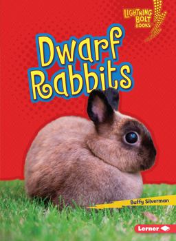 Dwarf Rabbits