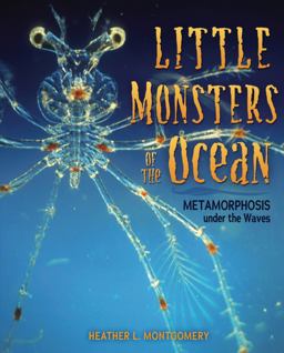 Little Monsters of the Ocean
