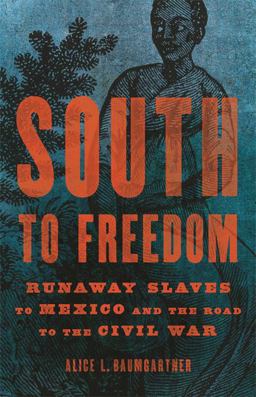 South to Freedom Runaway Slaves to Mexico and the Road to the Civil War  9781541617780 Front Cover