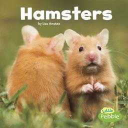 Hamsters