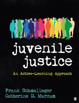 Juvenile Justice An Active-Learning Approach  9781544300412 Front Cover