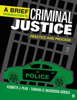 A Brief Introduction to Criminal Justice: Practice and Process 1st 9781544373294 Front Cover
