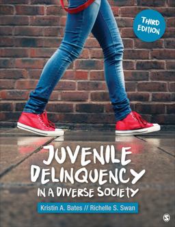 Juvenile Delinquency in a Diverse Society 3rd 9781544375441 Front Cover