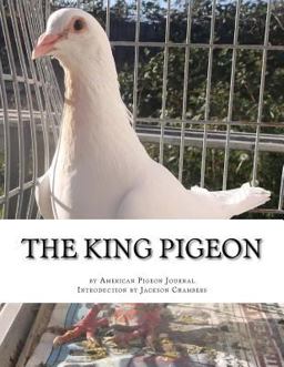 The King Pigeon
