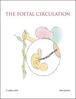 The Foetal Circulation The Foetal Circulation