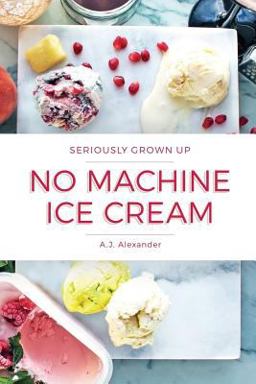 Seriously Grown up No Machine Ice Cream Seriously Grown up No Machine Ice Cream