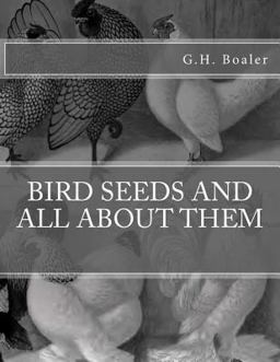 Bird Seeds and All about Them