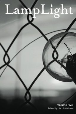 LampLight Volume 5