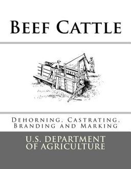 Beef Cattle
