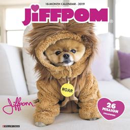 Jiff the Pomeranian 2019 Wall Calendar  9781549201578 Front Cover