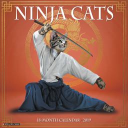 Ninja Cats 2019 Wall Calendar  9781549203015 Front Cover