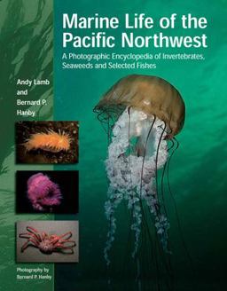 Marine Life of the Pacific Northwest A Photographic Encyclopedia of Invertebrates, Seaweeds and Selected Fishes  9781550173611 Front Cover