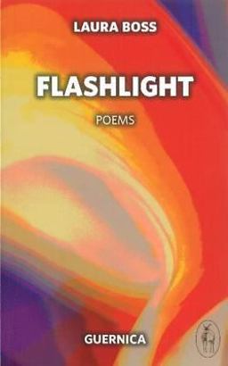 Flashlight  9781550713152 Front Cover