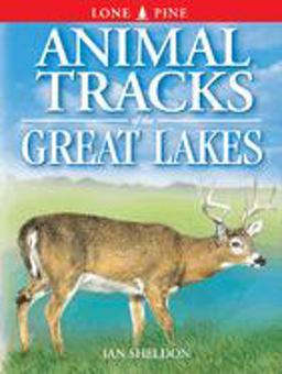 Animal Tracks of the Great Lakes  9781551051079 Front Cover