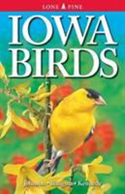 Iowa Birds Iowa Birds
