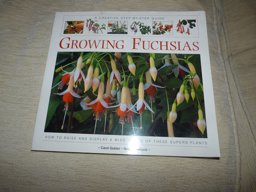 Step-by-Step Guide to Growing Fuschias Step-by-Step Guide to Growing Fuschias