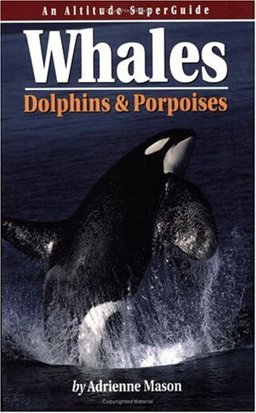 Whales, Dolphins and Porpoises