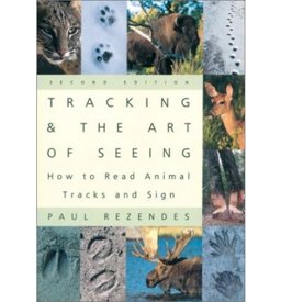 Tracking and the Art of Seeing