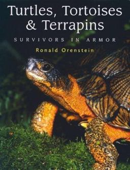 Turtles, Tortoises and Terrapins Survivors in Armor  9781552096055 Front Cover
