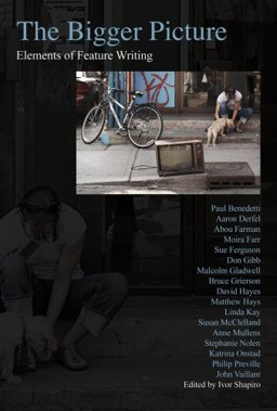Bigger Picture : Elements of Feature Writing  9781552392805 Front Cover