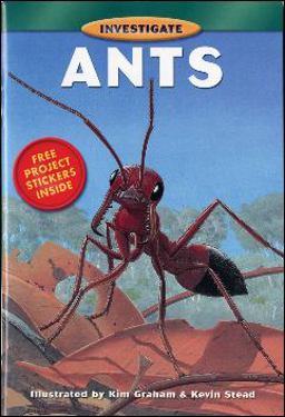 Ants Ants