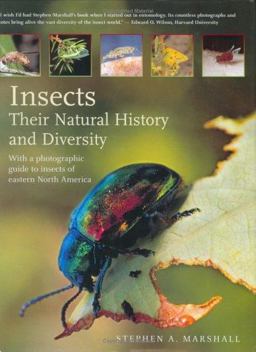 Insects: Their Natural History and Diversity With a Photographic Guide to Insects of Eastern North America  9781552979006 Front Cover