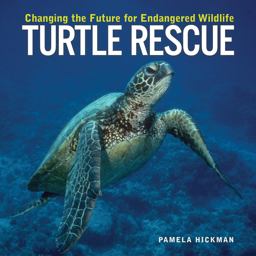 Turtle Rescue Turtle Rescue