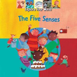 The Five Senses