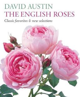 The English Roses