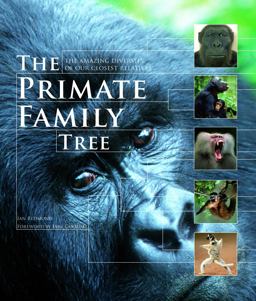 Primate Family Tree The Amazing Diversity of Our Closest Relatives  9781554073788 Front Cover