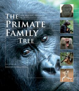 Primate Family Tree The Amazing Diversity of Our Closest Relatives  9781554079643 Front Cover