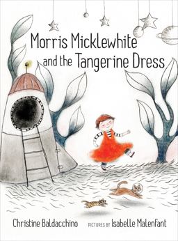 Morris Micklewhite and the Tangerine Dress  9781554983476 Front Cover