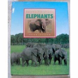 Elephants