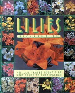 Lilies