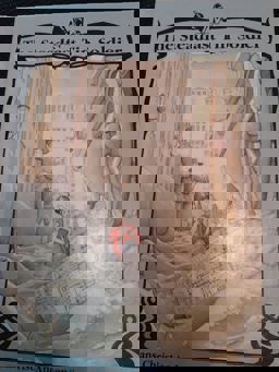 The Steadfast Tin Soldier