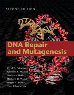DNA Repair and Mutagenesis 2nd 9781555813192 Front Cover
