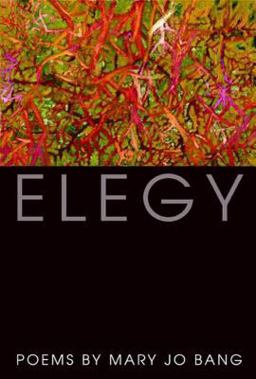 Elegy Poems  9781555975401 Front Cover