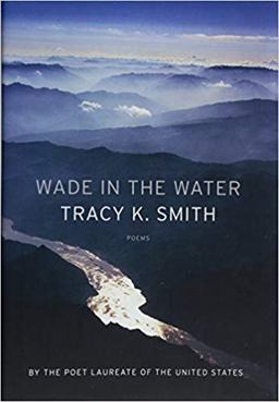 Wade in the Water Poems  9781555978365 Front Cover