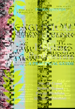 Clinical Supervision in the Helping Professions A Practical Guide  9781556204036 Front Cover