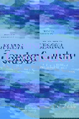 Becoming a Counselor: The Light, the Bright, and the Serious  9781556204128 Front Cover