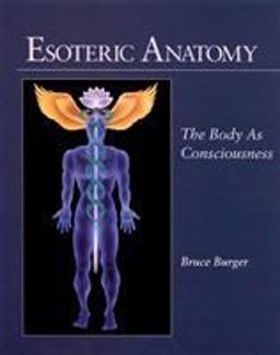 Esoteric Anatomy The Body as Consciousness  9781556432248 Front Cover